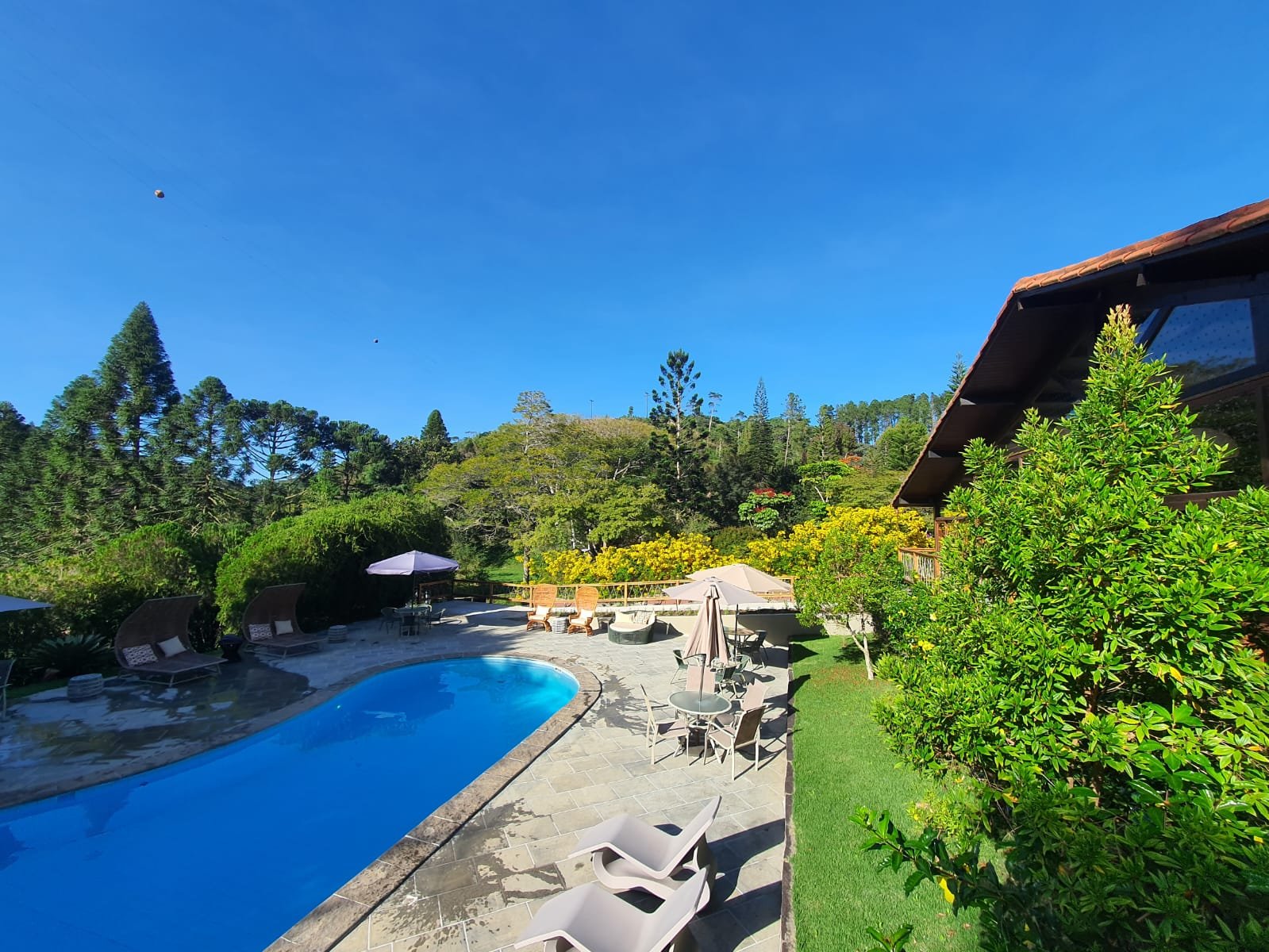 Natureza Eco Lodge oferece excelentes serviços em meio a floresta nas montanhas capixabas
